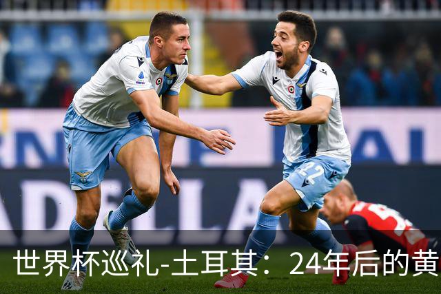 世界杯巡礼-土耳其：24年后的黄金一代，要再次黑马狂奔
